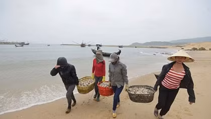 Triển khai bồi thường cho người dân vùng biển bị thiệt hại do ô nhiễm từ Formosa