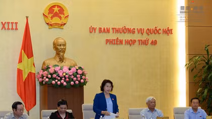 Ủy ban Pháp luật thẩm tra, cho ý kiến về cơ cấu tổ chức Chính phủ