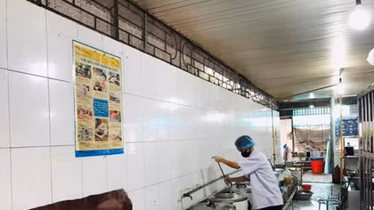 Yêu cầu tạm dừng hợp đồng với Công ty TNHH Trường Sinh