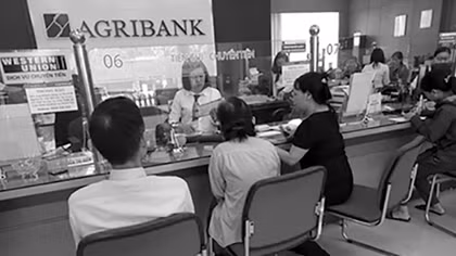 Agribank chung tay “gỡ khó” cho sản xuất, kinh doanh