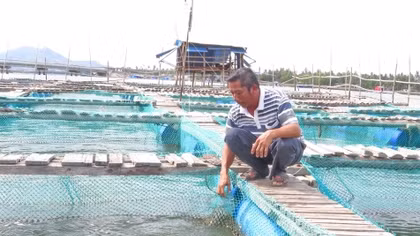 Từ người lái xe trở thành “tỷ phú” hải sản bên đầm Cù Mông