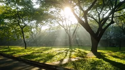 Miền Bắc tăng nhiệt nhanh, có nơi trên 35 độ