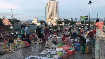 Đi tìm "thần dược" cá ngựa