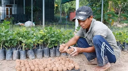 Ứng dụng “bom hạt giống” tái tạo hệ thực vật vùng khô hạn