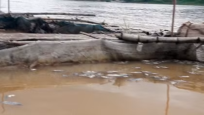 Trắng tay vì thủy điện xả lũ