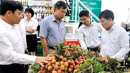 Cơ hội, thách thức của doanh nghiệp khi tiếp cận Hiệp định EVFTA