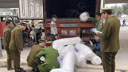 Bắt giữ container vận chuyển hàng hóa nghi nhập lậu