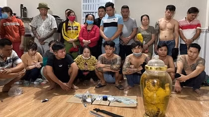 Phát hiện hổ ngâm nguyên con trong sới bạc vừa bị triệt phá