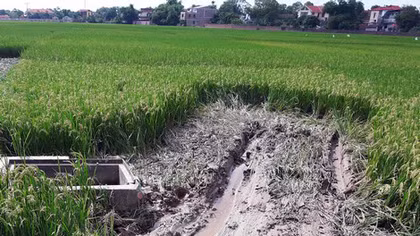 Vụ tai nạn kinh hoàng ở Bắc Ninh: Đại tang giữa đêm khuya
