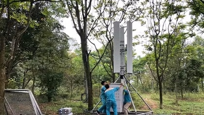 Viettel sẵn sàng phục vụ khách hàng dịp Giỗ Tổ Hùng Vương