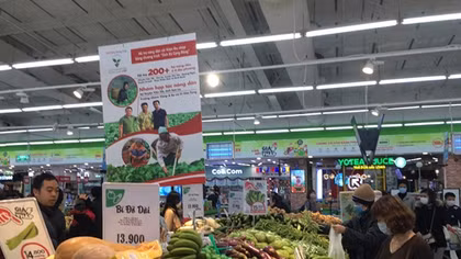 EVFTA - Hành trình kết tinh thập kỷ nỗ lực không ngừng nghỉ