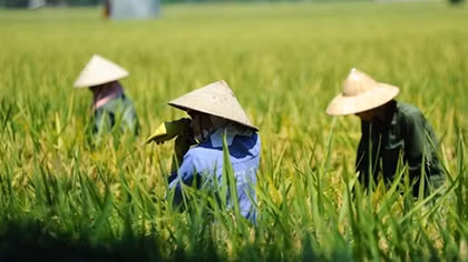 Bắc và Trung Bộ nắng nóng ngột ngạt