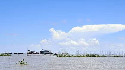 Ký ức về cá ở Biển Hồ