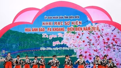 Tôn vinh vẻ đẹp và ý nghĩa của hoa anh đào