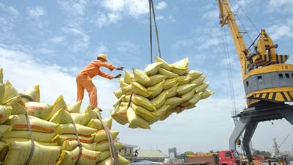 Bác bỏ thông tin gạo Việt Nam không đạt chất lượng