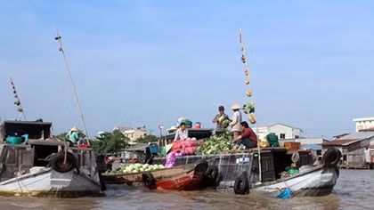 Nỗ lực vì sự an toàn của Chợ nổi Cái Răng