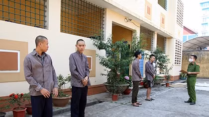 Dùng xe phân khối lớn che biển gây ra hơn 20 vụ cướp giật