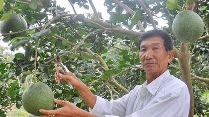 Lão nông thất thập và ước mơ tiến sĩ