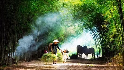 Bắc Bộ trời đẹp, Trung Bộ có mưa về chiều tối và đêm