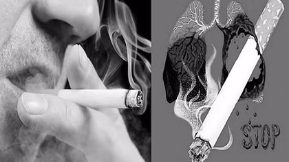Hút thuốc lá – con đường ngắn dẫn tới ung thư