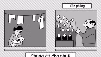 Đã là luật thì phải chấp hành