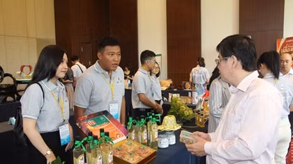 Nhiều dự án khởi nghiệp sáng tạo của thanh niên nông thôn