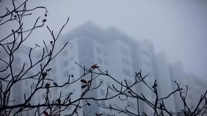 Hà Nội mưa rét ngày cuối tuần, chất lượng không khí ở mức kém
