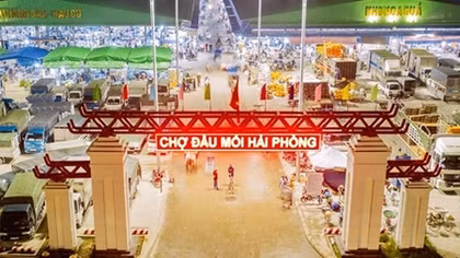 Sai phạm của Ban Thường vụ quận ủy Hồng Bàng gây hậu quả khó khắc phục