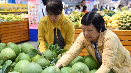 Cần đầu tư mạnh vào công nghiệp chế biến, giảm xuất khẩu thô