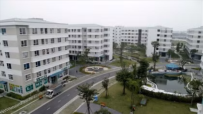 Ai sẽ mua căn hộ 25m2?