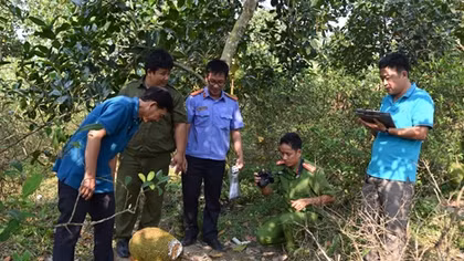 Phòng, chống trộm cắp tại nhà vườn ở miền Tây
