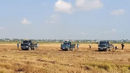 Ngang nhiên khai thác đất ruộng trái phép