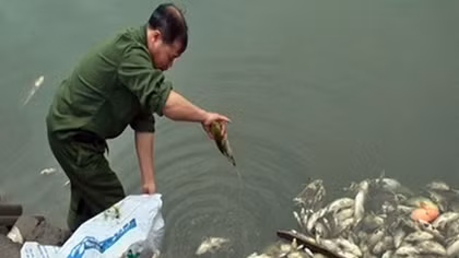 Ẩn họa môi trường từ khu công nghiệp Tằng Loỏng