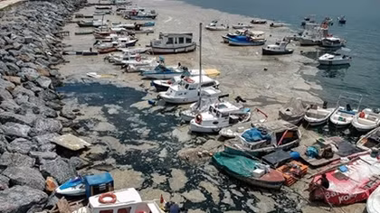 Tổng thống Thổ Nhĩ Kỳ hứa giải quyết vấn đề chất nhầy ở Biển Marmara