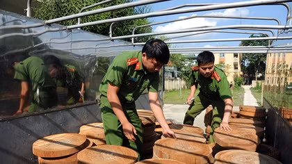 Lâm tặc và đầu nậu nhởn nhơ vì “giơ thấp đánh khẽ”