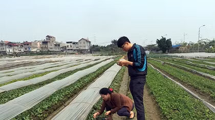 Bao giờ giải được bài toán thực phẩm sạch?