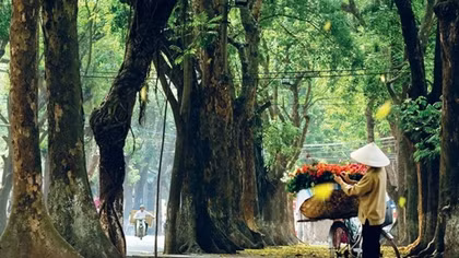Bắc bộ se lạnh, Trung bộ có mưa rào và giông