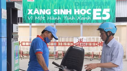 Chuyển đổi sử dụng xăng sinh học E5 tại các đơn vị hành chính sự nghiệp