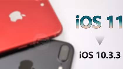 Người dùng iPhone nháo nhào hạ cấp iOS