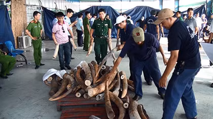 Tăng cường chống buôn lậu những ngày cuối năm