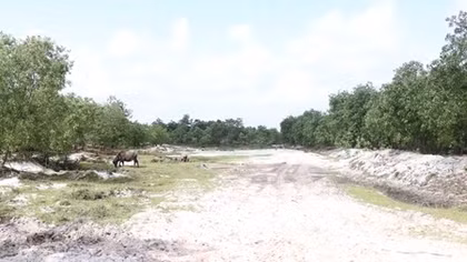 Quảng Trị ban hành văn bản chống “cò” đất thổi giá