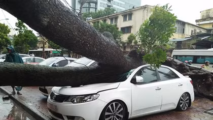 "Thần sét" chưa tới Hà Nội nhưng cây đã đổ nghiền nát ô tô 