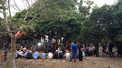Phá tụ điểm đá gà ăn tiền có quy mô lớn ở Long An
