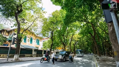 Bắc bộ giảm mưa giông, trời mát mẻ 