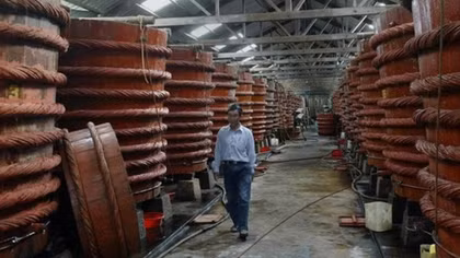 Phó tổng thư ký Vinastas âm thầm bị cách chức