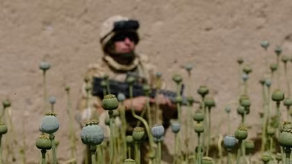 Cuộc chiến chống thuốc phiện của Anh ở Afghanistan