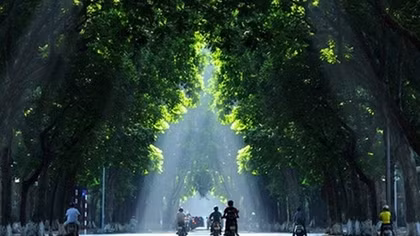 Bắc bộ ngày nắng hanh, chiều tối chuyển mưa