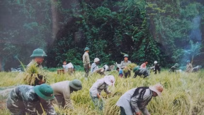 Chuyện mới ở Trường Sơn