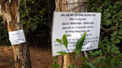 Bất trắc "chợ" đất đai ở Phú Quốc