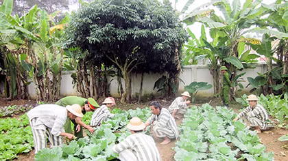 Đắng lòng gã buôn người nhìn vợ bế con đi lấy chồng